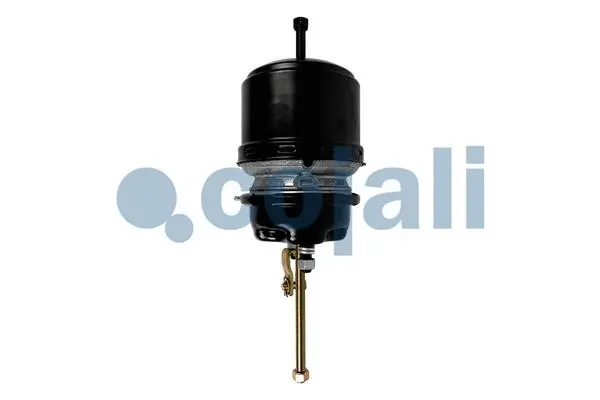 Spring-loaded Cylinder