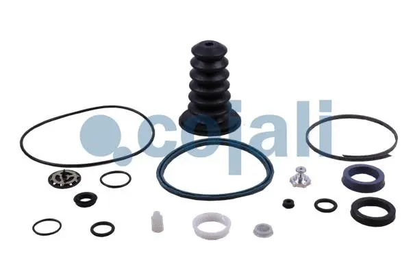 Repair Kit, clutch booster (6034028)