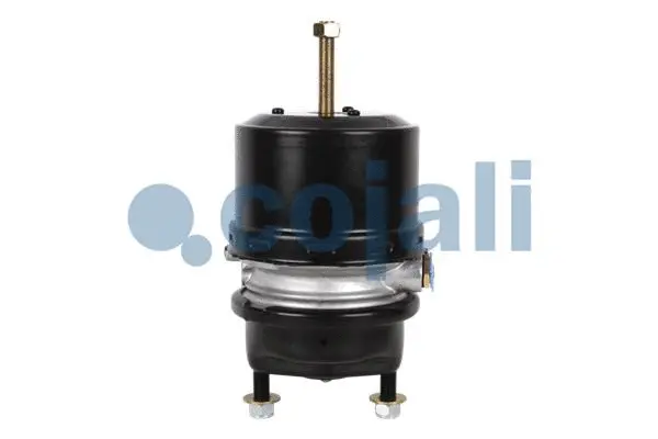 Spring-loaded Cylinder