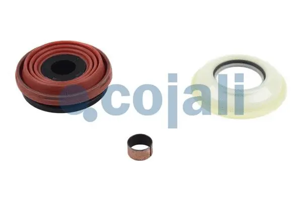 Repair Kit, brake caliper (6084020)