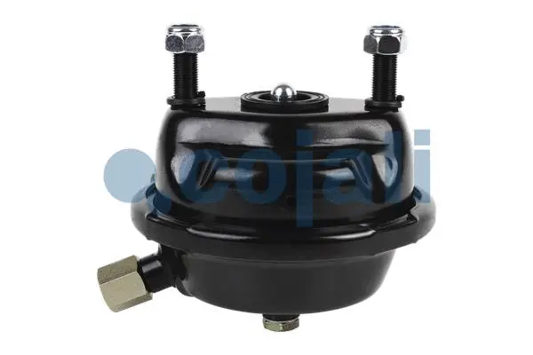 Diaphragm Brake Cylinder (2351322)