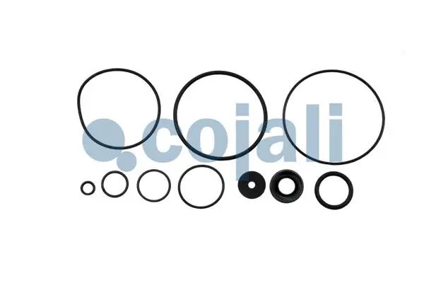 Repair Kit, relay valve (6012033)