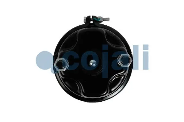 Diaphragm Brake Cylinder