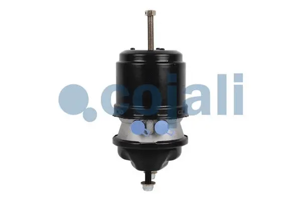 Spring-loaded Cylinder (2251537)