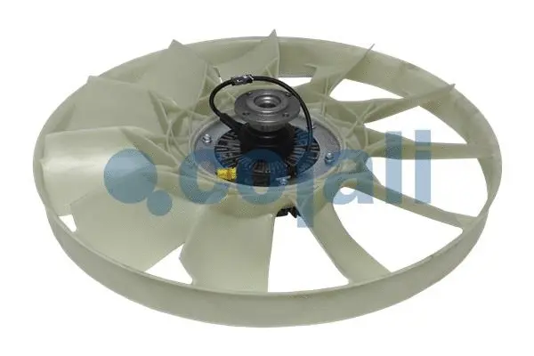 Fan, engine cooling