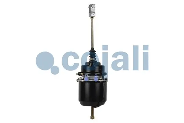 Spring-loaded Cylinder (2251415)