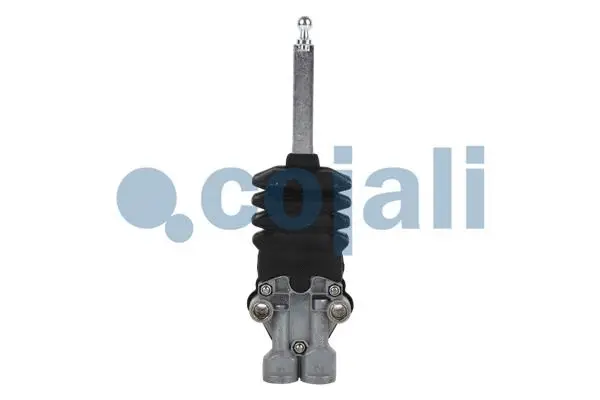 Air Suspension Valve