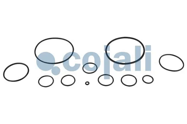 Repair Kit, brake force regulator