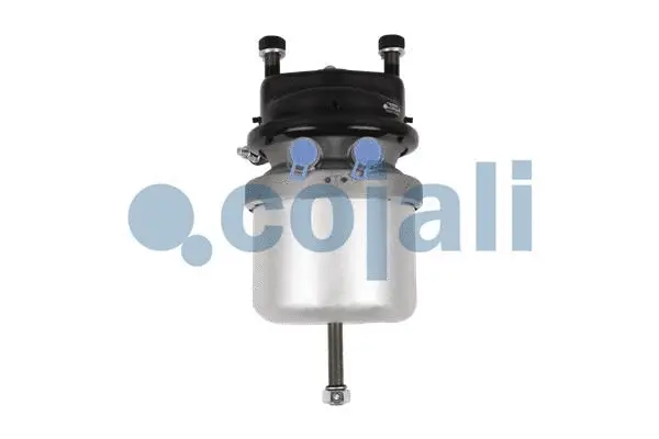 Spring-loaded Cylinder (2351309)