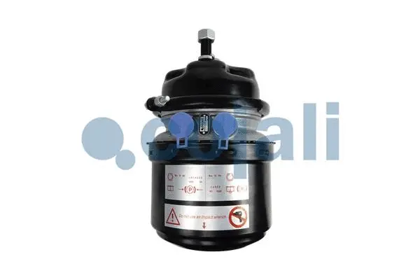 Spring-loaded Cylinder (2251565)