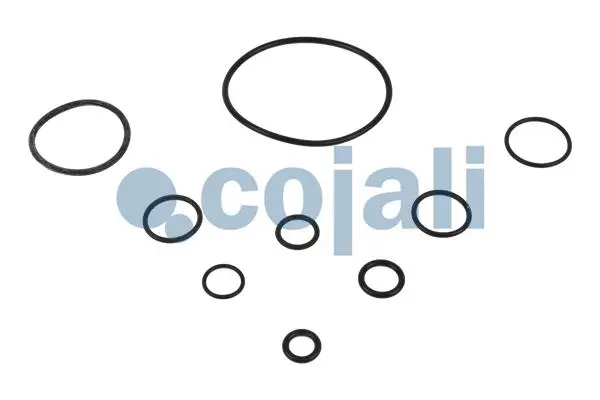 Repair Kit, clutch booster