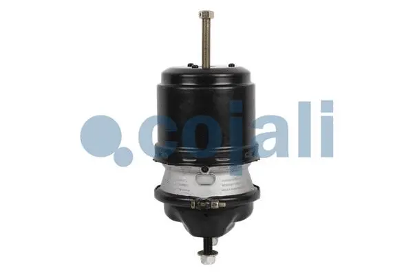 Spring-loaded Cylinder