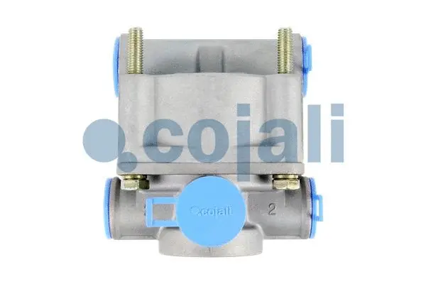 Overload Protection Valve (2219103)