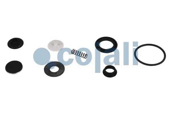 Repair Kit (6012160)