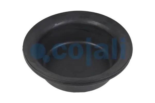 Membrane, spring-loaded cylinder (6001113)