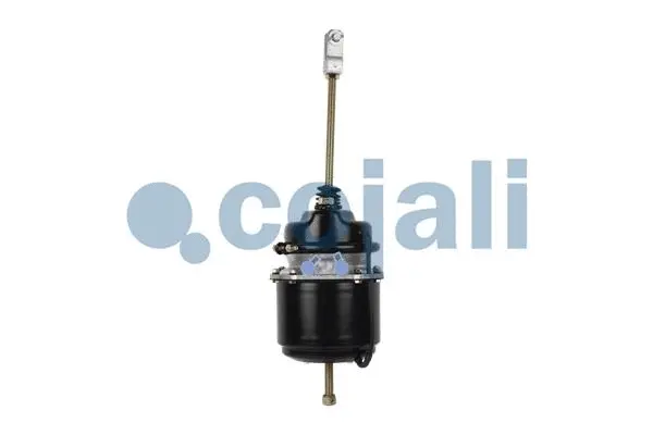 Spring-loaded Cylinder (2251406)