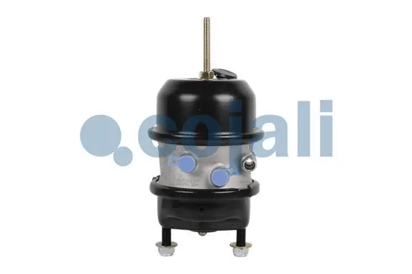 Multi-function Brake Cylinder (2851101)