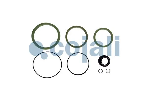 Repair Kit (6012314)