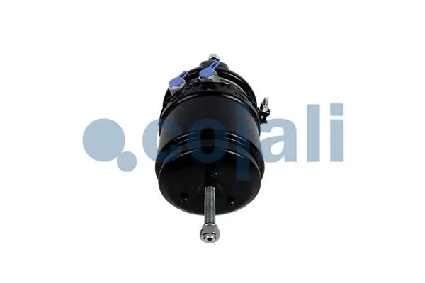 Spring-loaded Cylinder