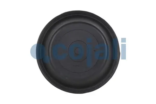 Membrane, spring-loaded cylinder