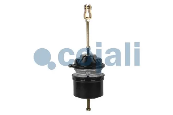 Spring-loaded Cylinder