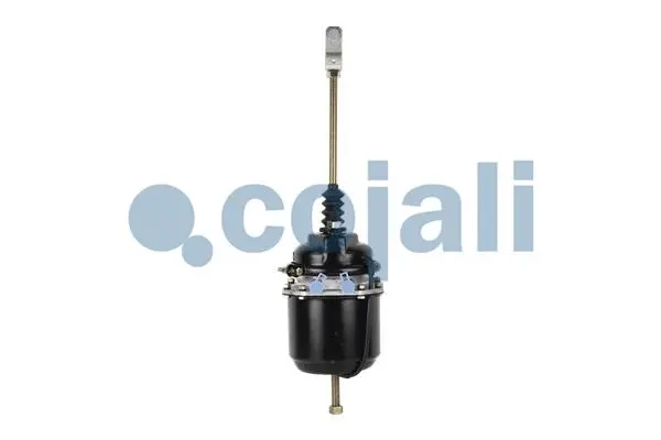 Spring-loaded Cylinder (2251400)