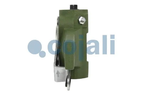 Adjuster, braking system