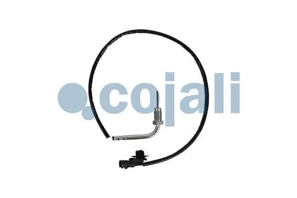 Sensor, exhaust gas temperature (2262025)