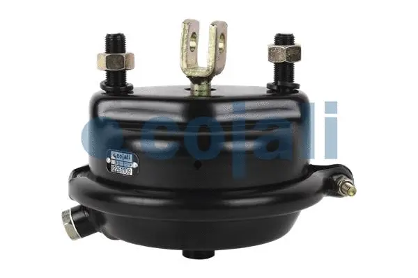 Diaphragm Brake Cylinder (2251109)