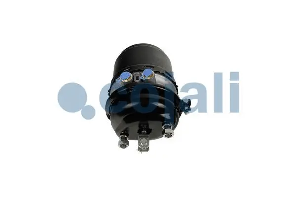 Spring-loaded Cylinder