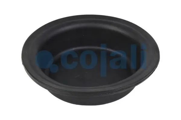 Membrane, spring-loaded cylinder (6001117)