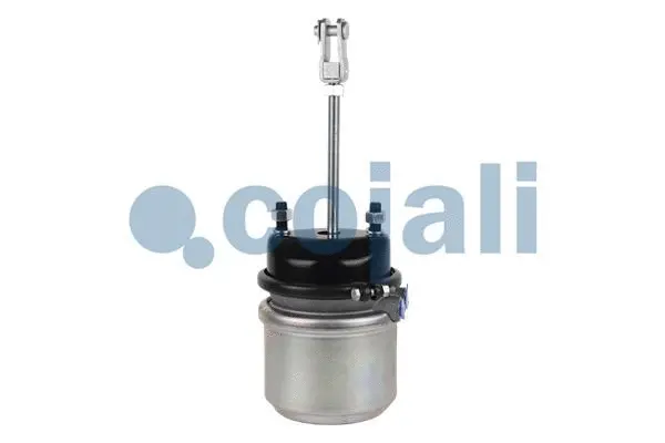 Spring-loaded Cylinder