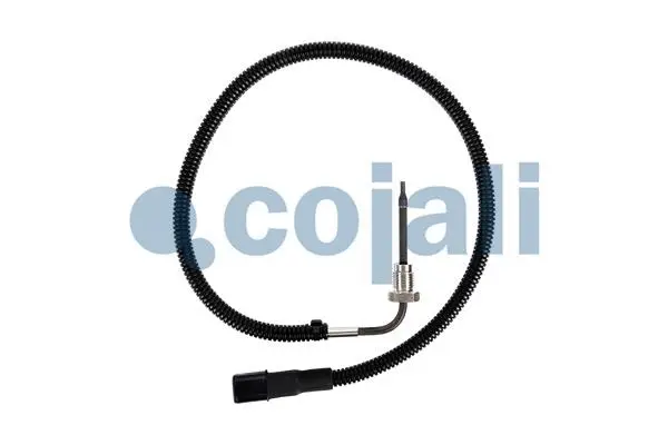 Sensor, exhaust gas temperature (2262660)