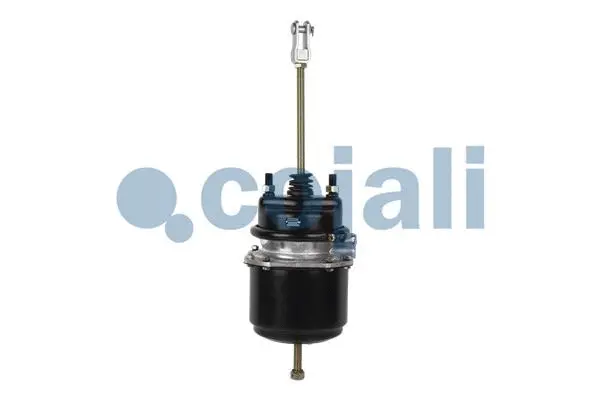 Spring-loaded Cylinder