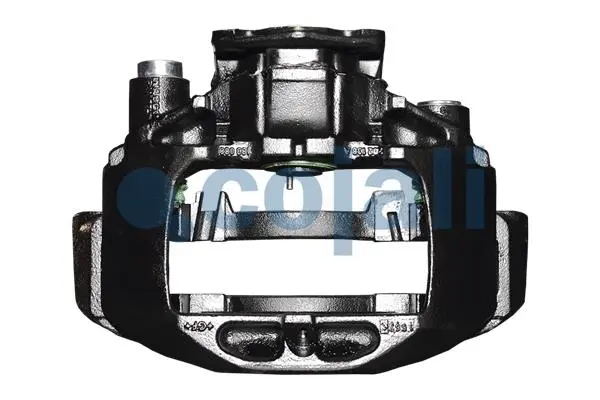 Brake Caliper (359261)