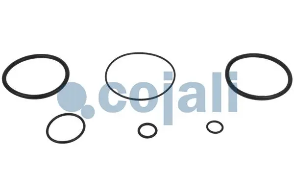 Repair Kit