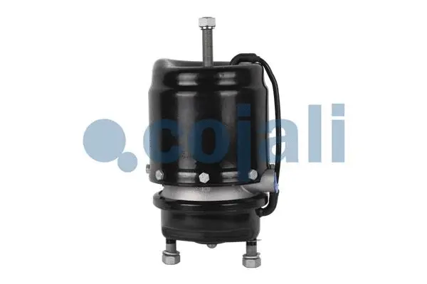 Spring-loaded Cylinder