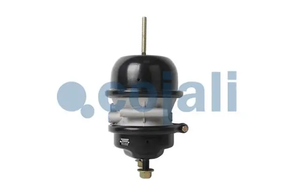 Multi-function Brake Cylinder