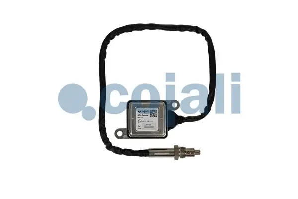 Exhaust Gas Analyzer