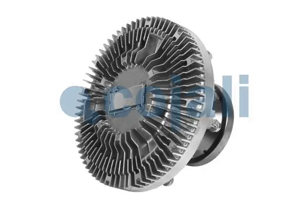 Clutch, radiator fan