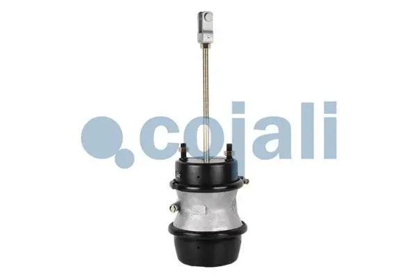 Multi-function Brake Cylinder