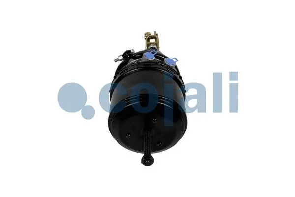 Spring-loaded Cylinder