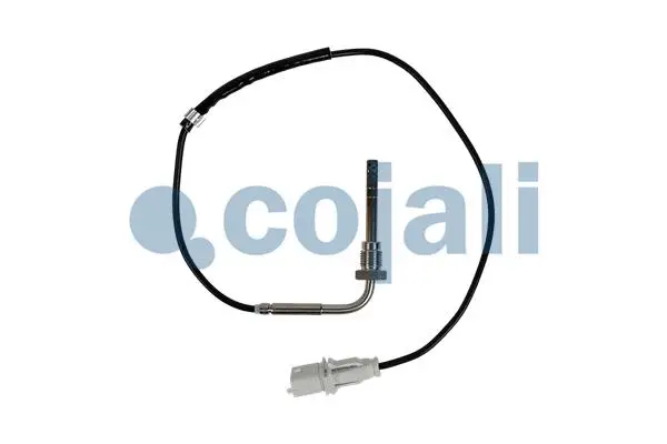 Sensor, exhaust gas temperature (2262022)