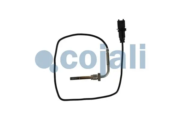 Sensor, exhaust gas temperature (2260906)
