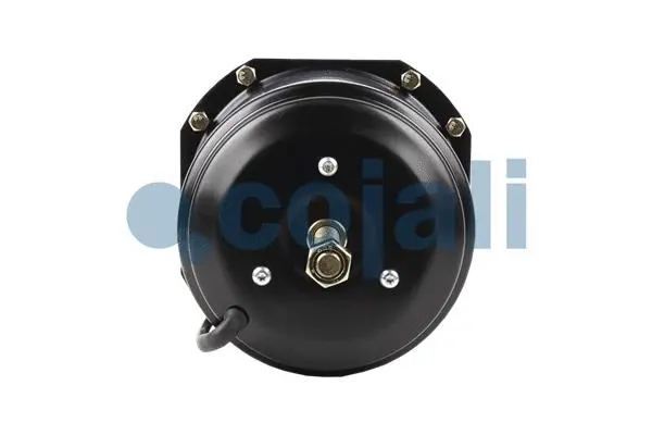 Spring-loaded Cylinder