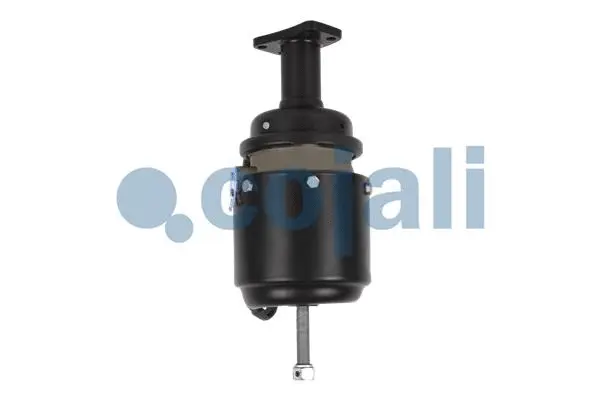 Spring-loaded Cylinder