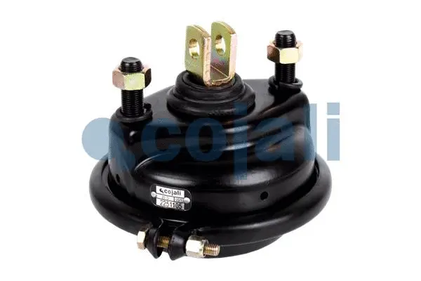 Diaphragm Brake Cylinder (2251105)