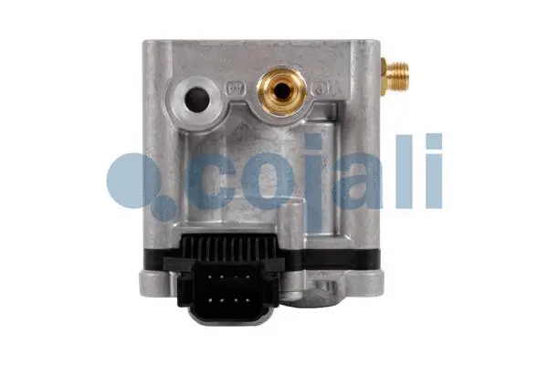 Exhaust Valve (2880227)
