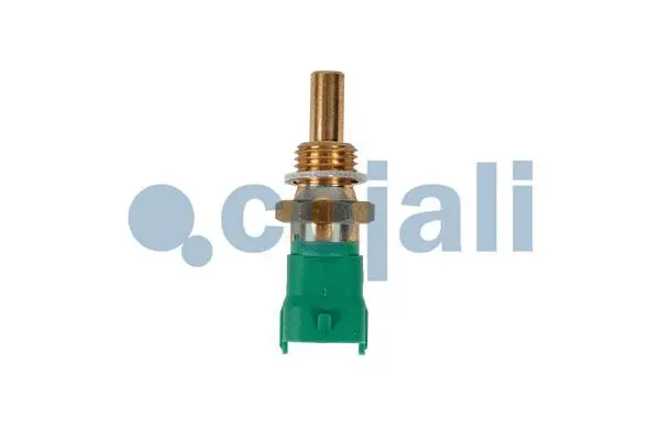Sensor, coolant temperature (2260984)