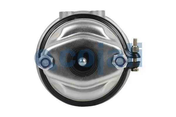 Spring-loaded Cylinder